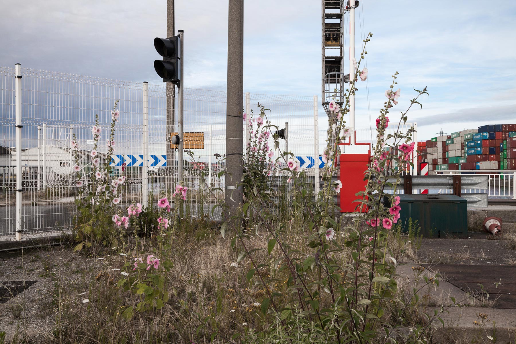 Franciscopolis - 2016