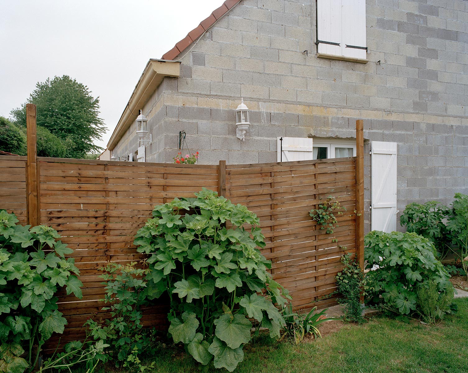 Coupures/Reprises - 2007