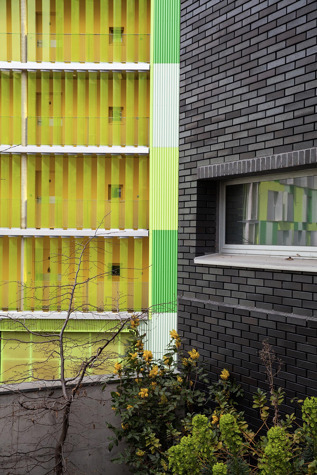 Rue de Nohanent - 2021