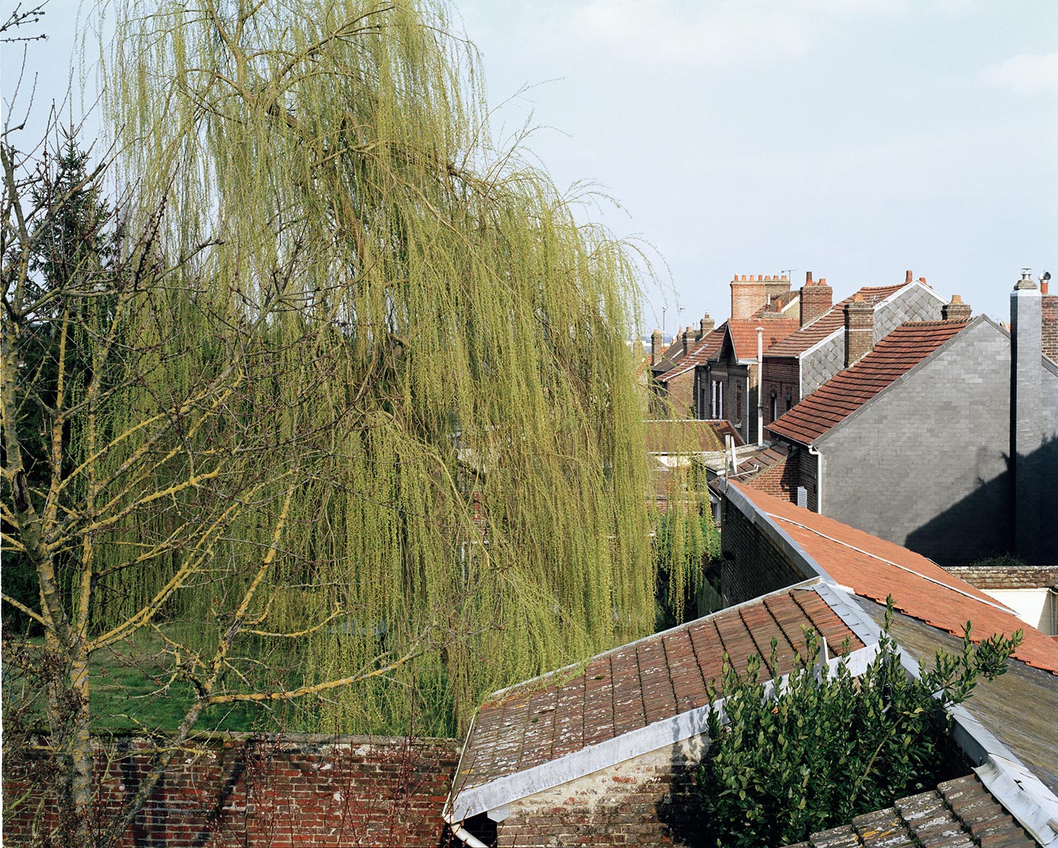 Coupures/Reprises - 2007