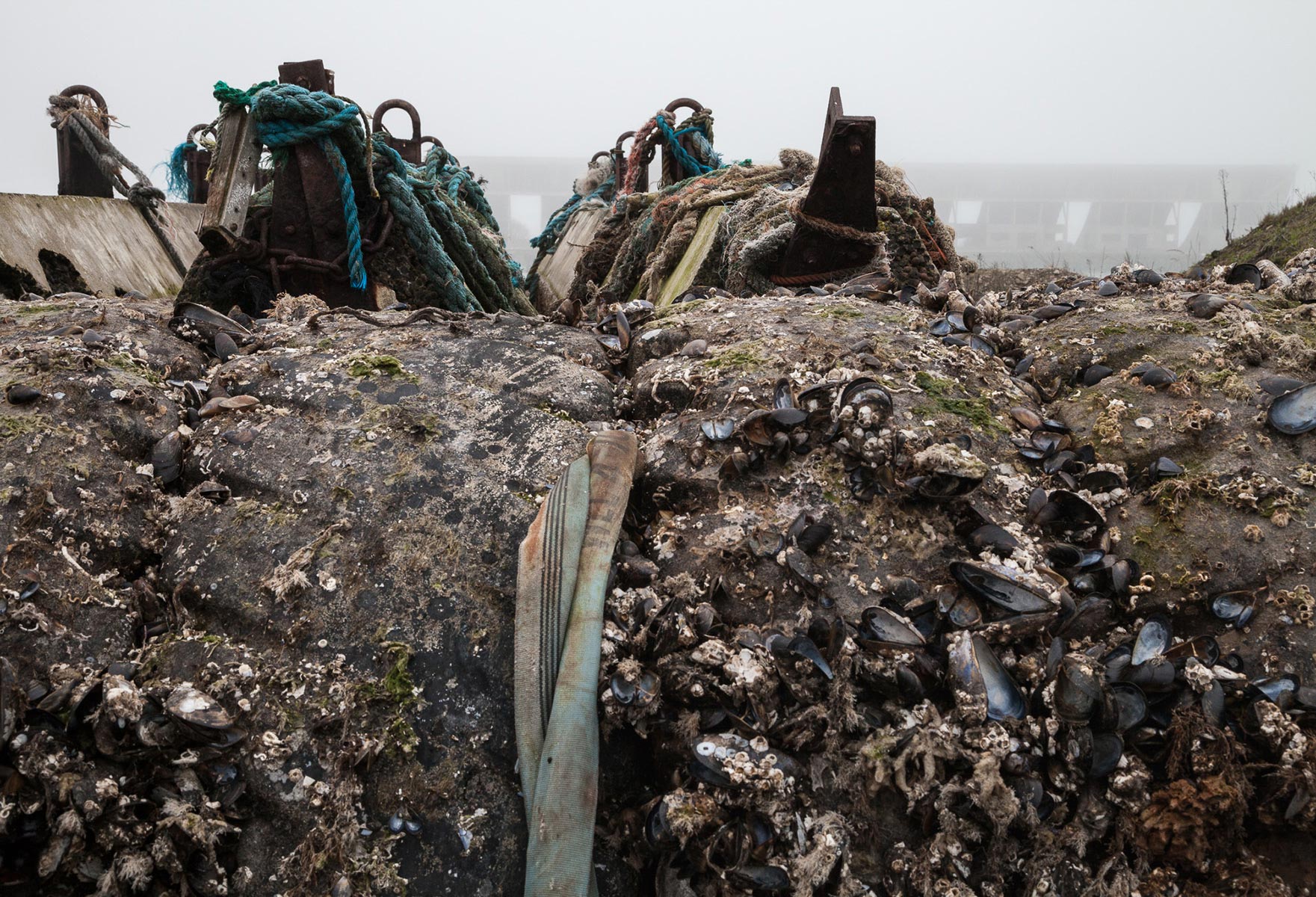 Franciscopolis - 2017