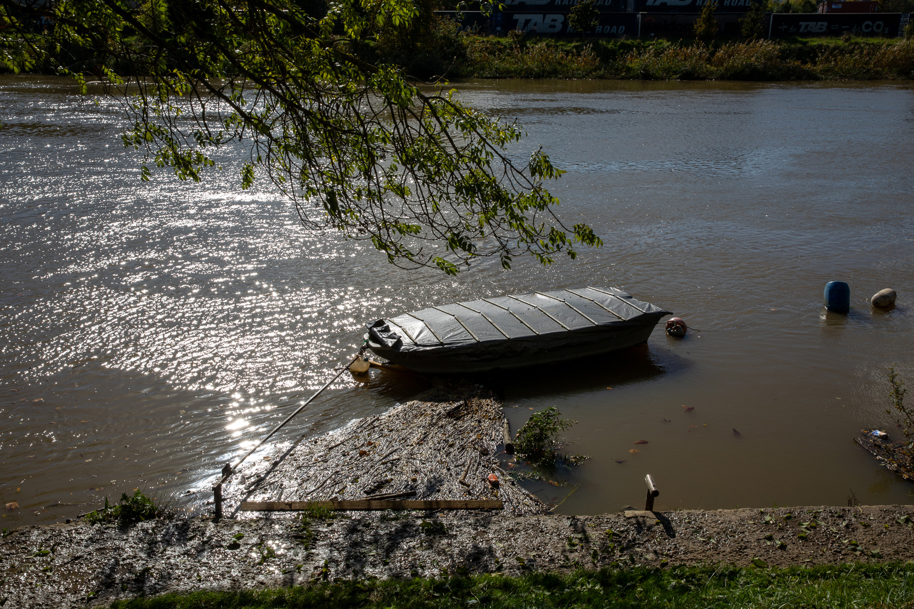 Quai de la Pie Saint-Maur-des-Fossés - 16/10/2024