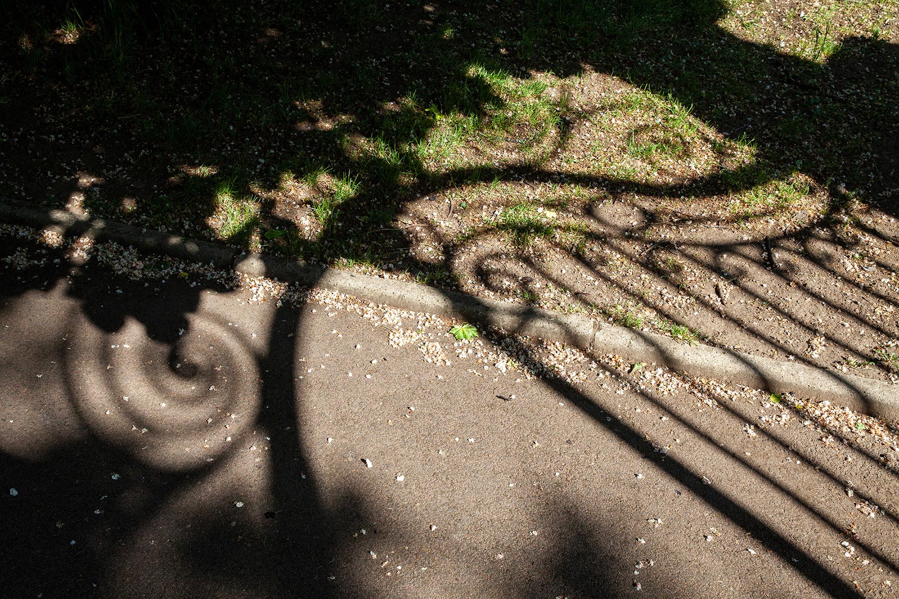 Parc Bargoin, Chamalières - 2021
