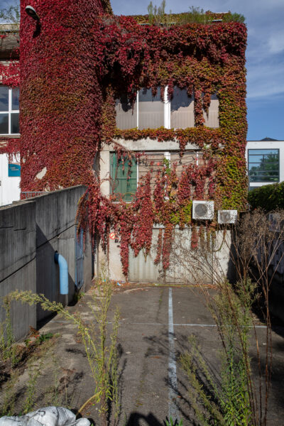 Quai de la Pie, Saint-Maur-des-Fossés - 16/10/2024