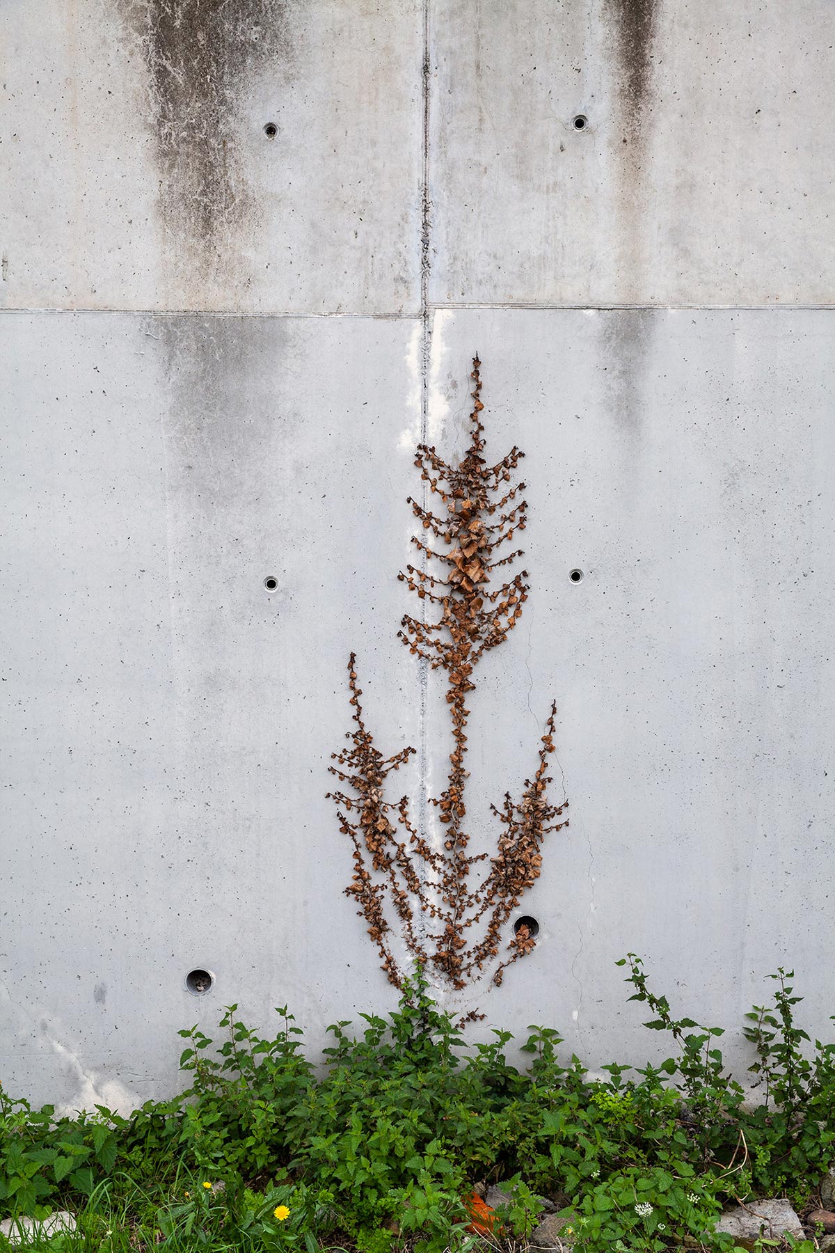 Rue Clovis Hughes - 2021