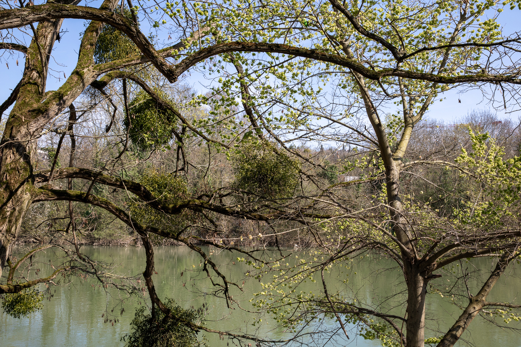 Quai Winston Churchill, Saint-Maur-des-Fossés - 22/03/24