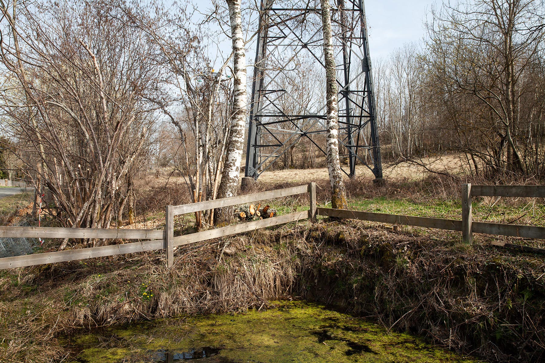 Orcines, Font de l'Arbre - 2022