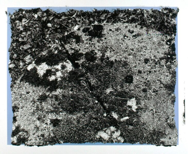 Vois-là - 1992