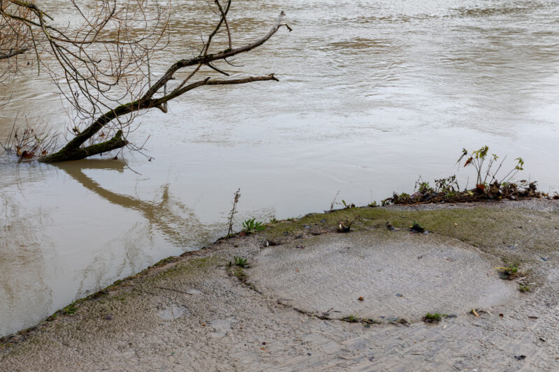  La Marne à Champigny-sur-Marne - 07/12/2023