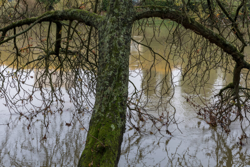 Quai du Parc Saint-Maur-des-Fossés - 18/10/2024