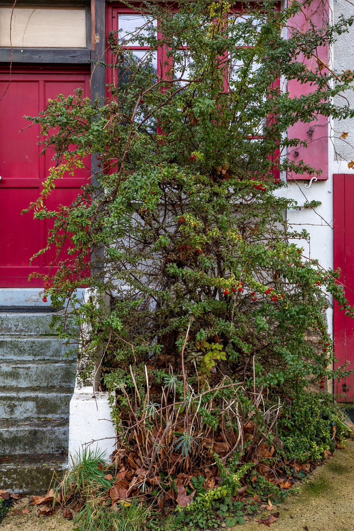 Joinville-le-Pont - 08/12/2023