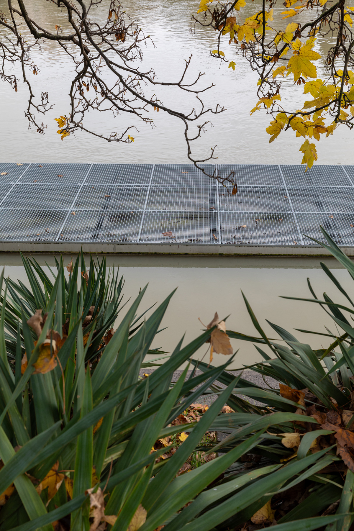 Joinville-le-Pont - 08/12/2023