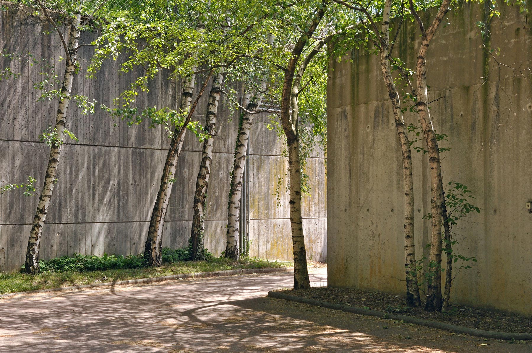 Parc de la Tête d'Or - 2010