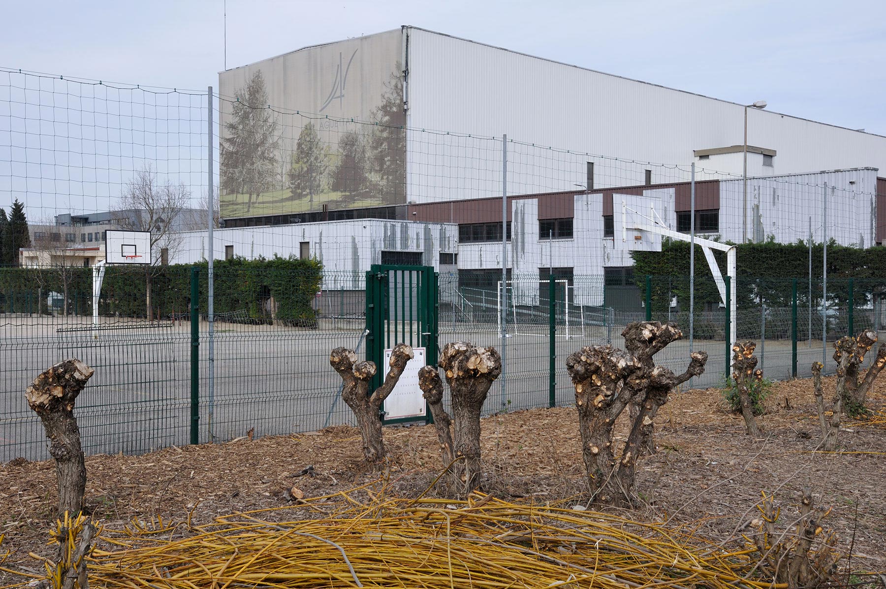 Parc de Gerland - 2010