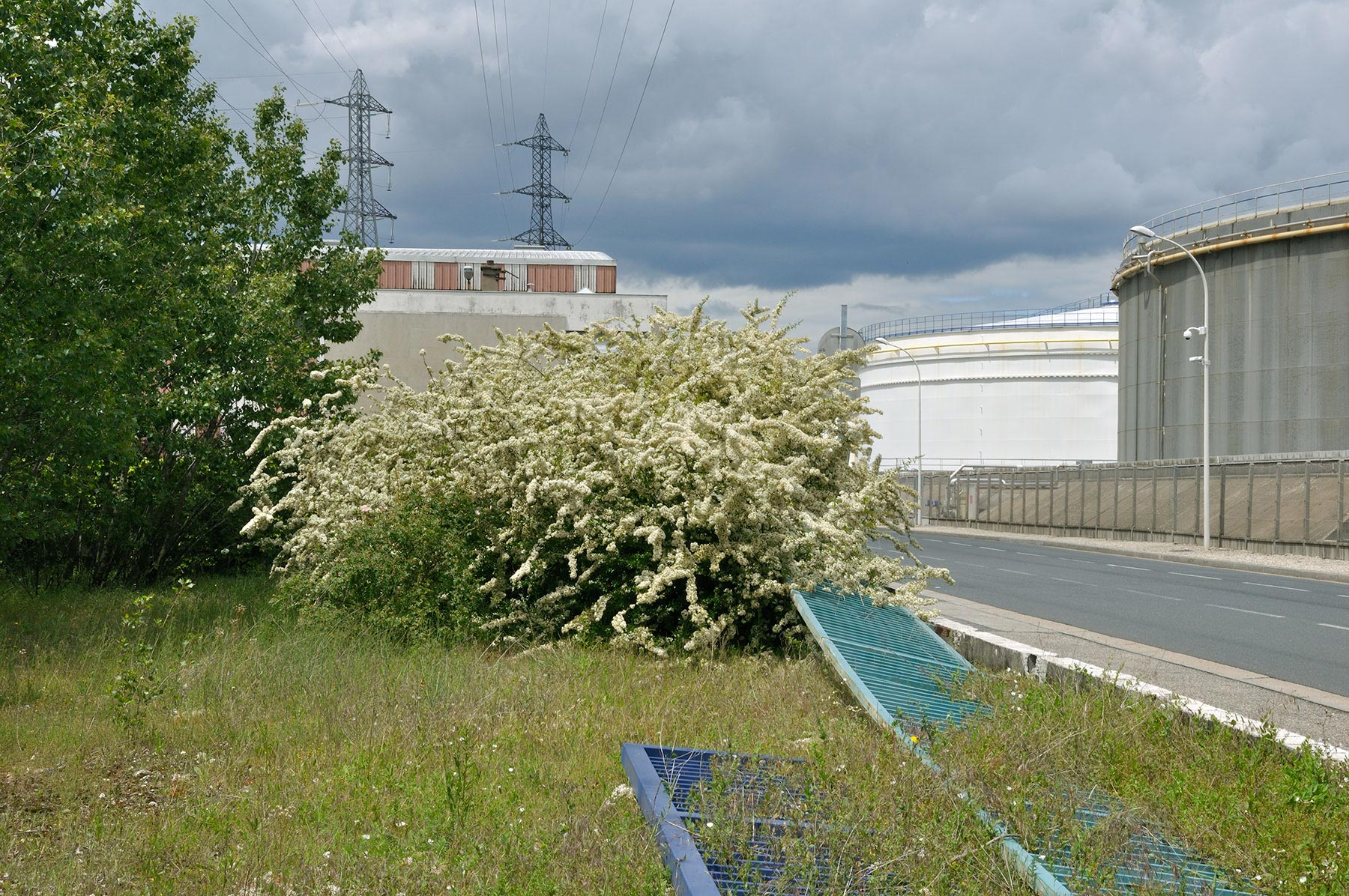 Port Édouard Herriot - 2010