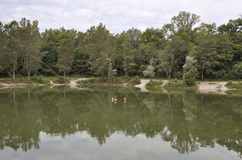 Feyzin, Île de la Chèvre - 2010
