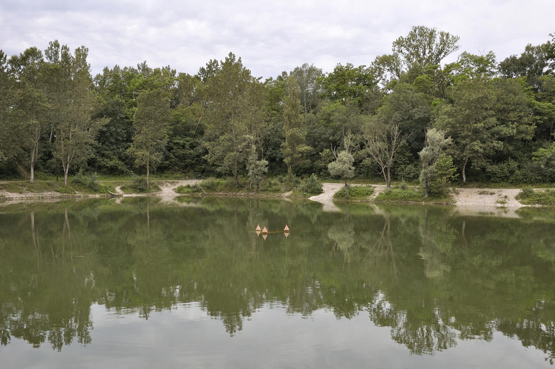 Feyzin, Île de la Chèvre - 2010