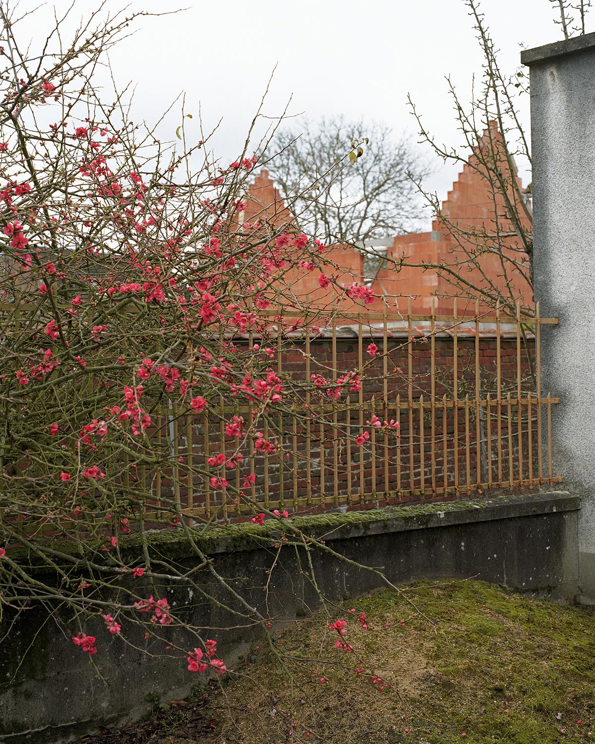 Coupures/Reprises - 2007