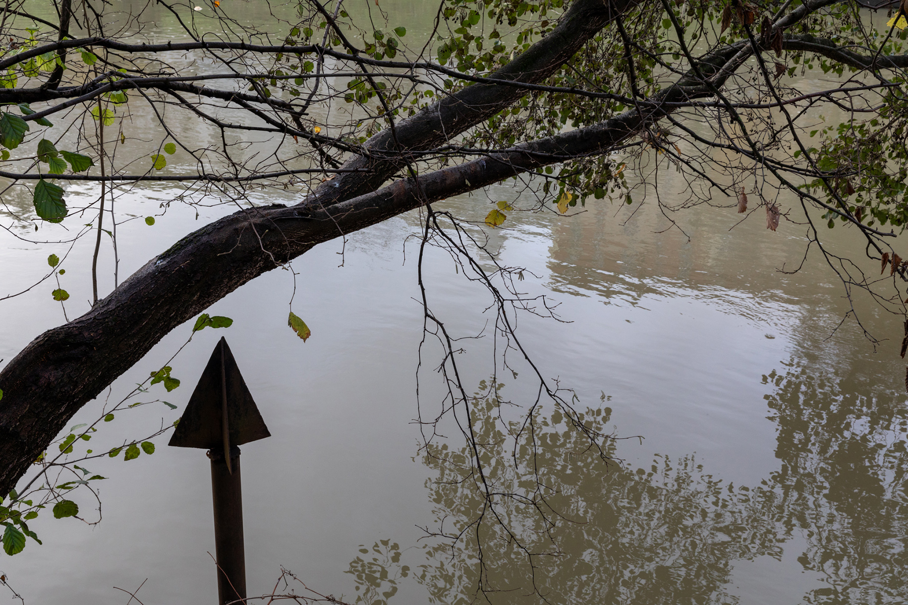 Joinville-le-Pont - 08/12/2023