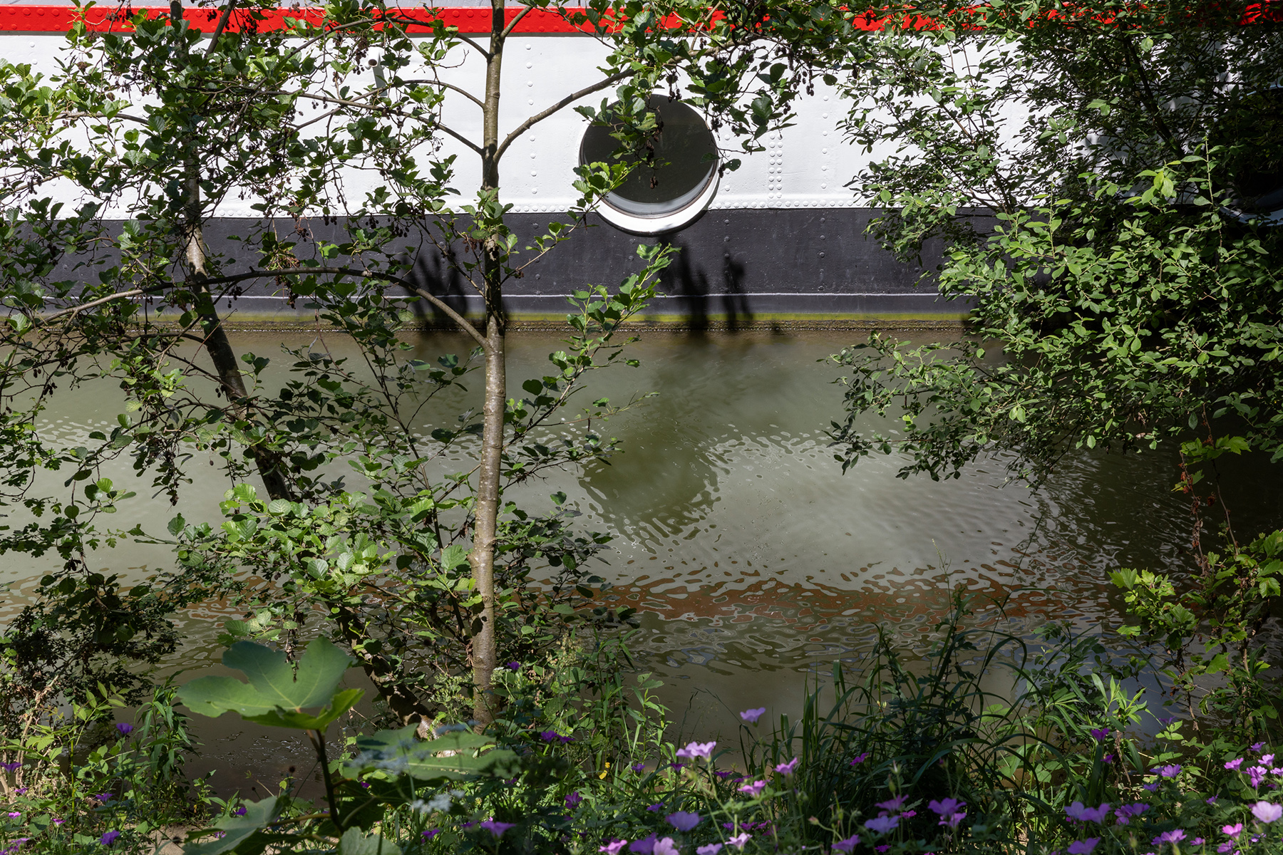 Promenade Polangis, Champigny-sur-Marne - 07/06/2024