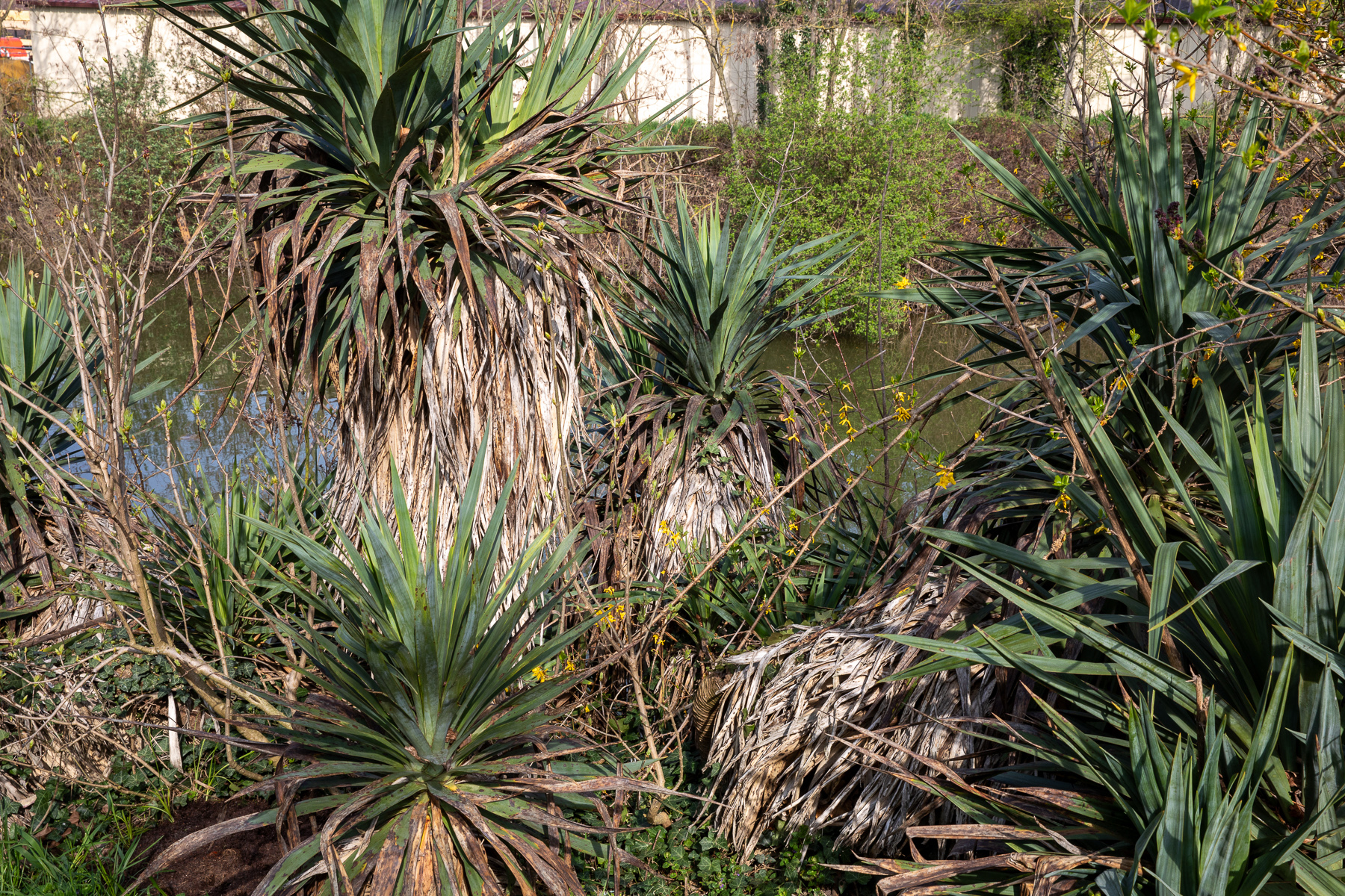 Canal de Chelles - 21/03/2024