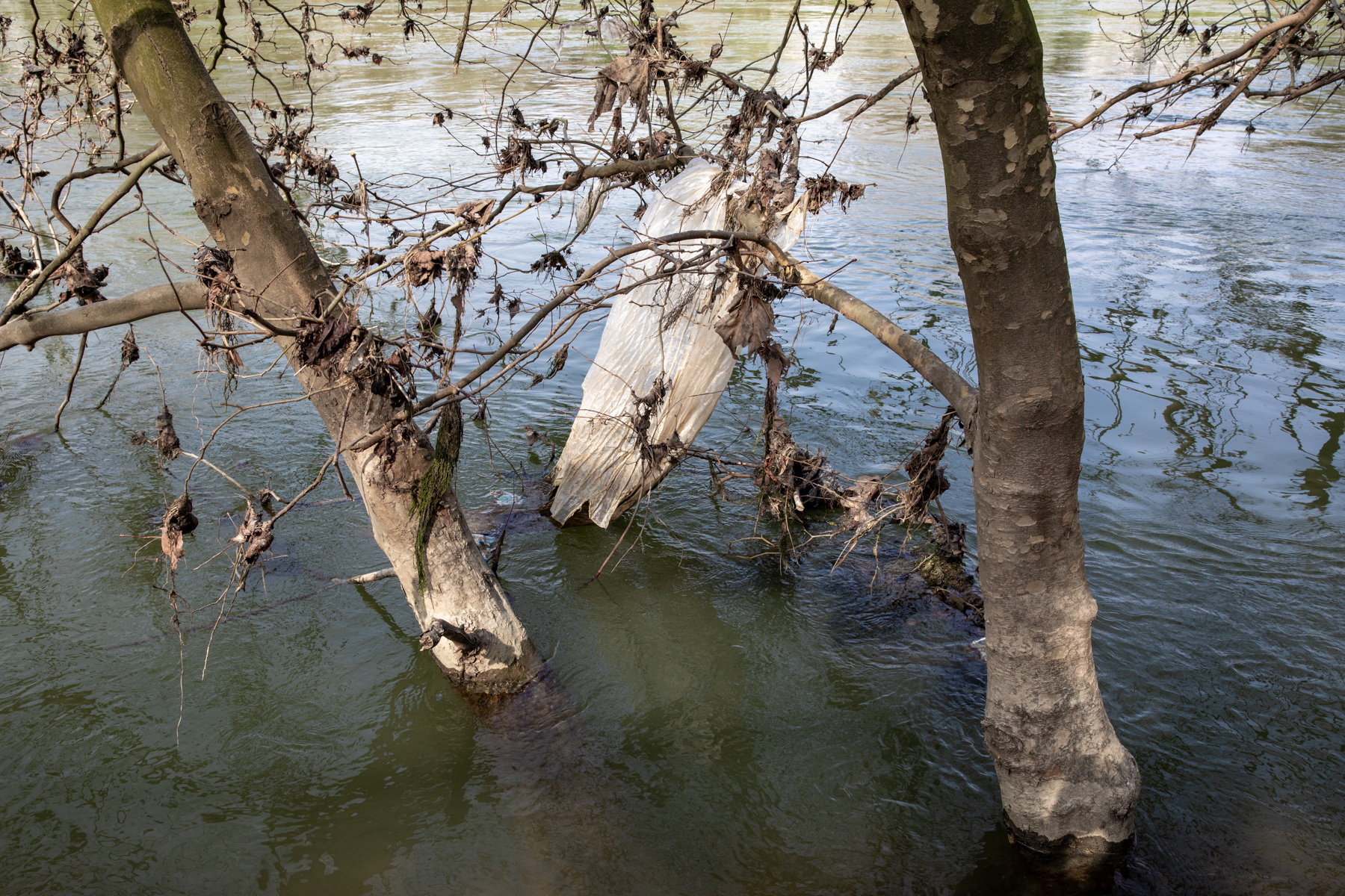 Bord de Marne avant Pont Charles de Gaulle, Gournay-sur-Marne - 21/03/2024