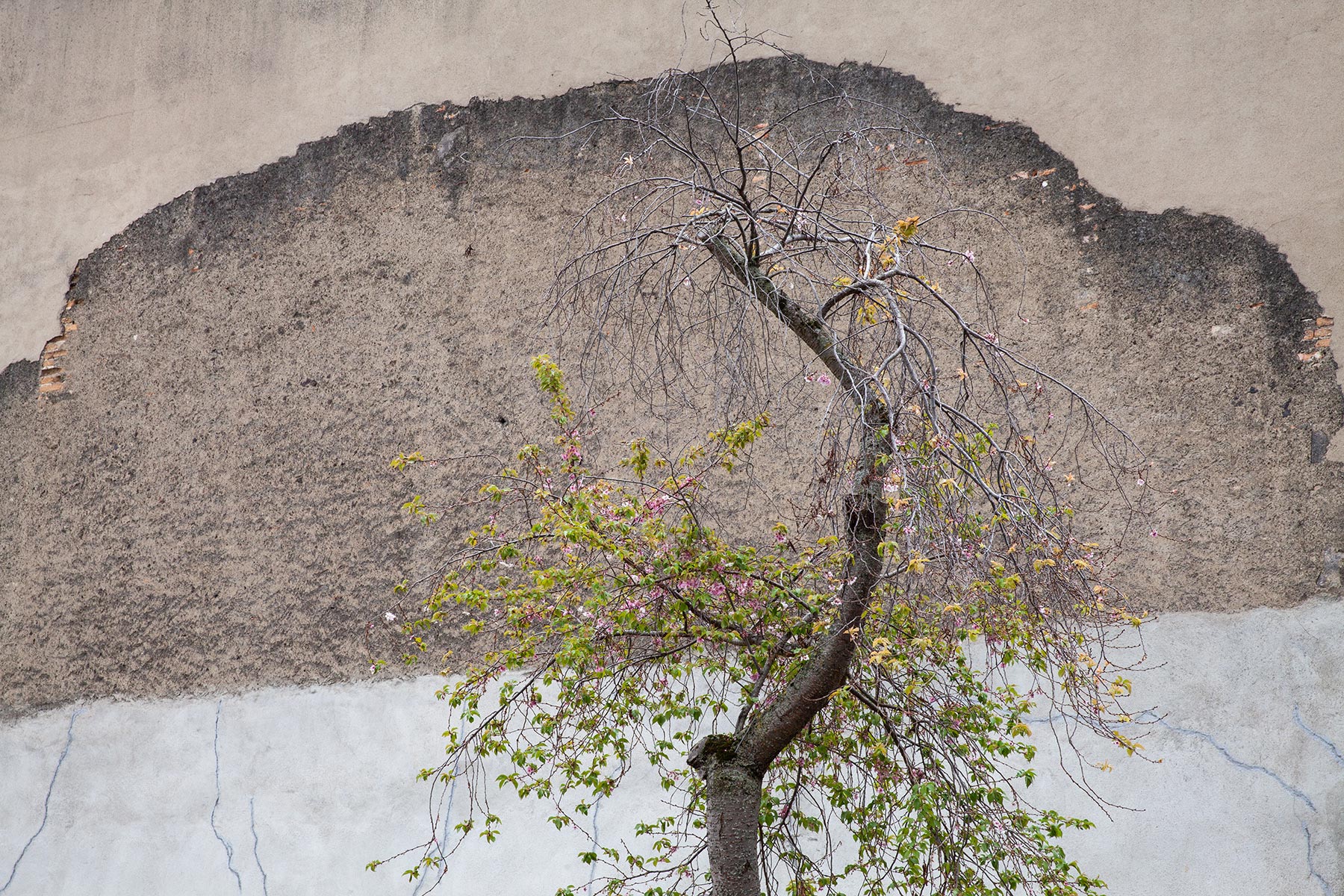 Rue du Chauffour haut- 2022