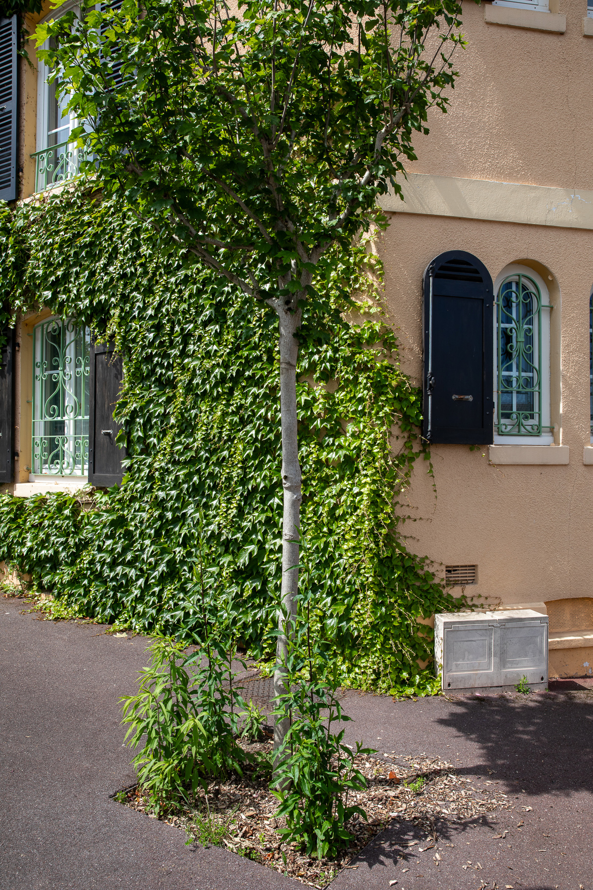 Noisiel, Cité Menier - 08/06/2024