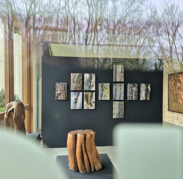 Les Cartes du vivant - Horizons sensibles - Fondation Renaud, Lyon - 2025