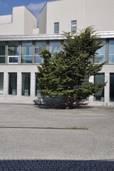 École Normale Supérieure - 2010