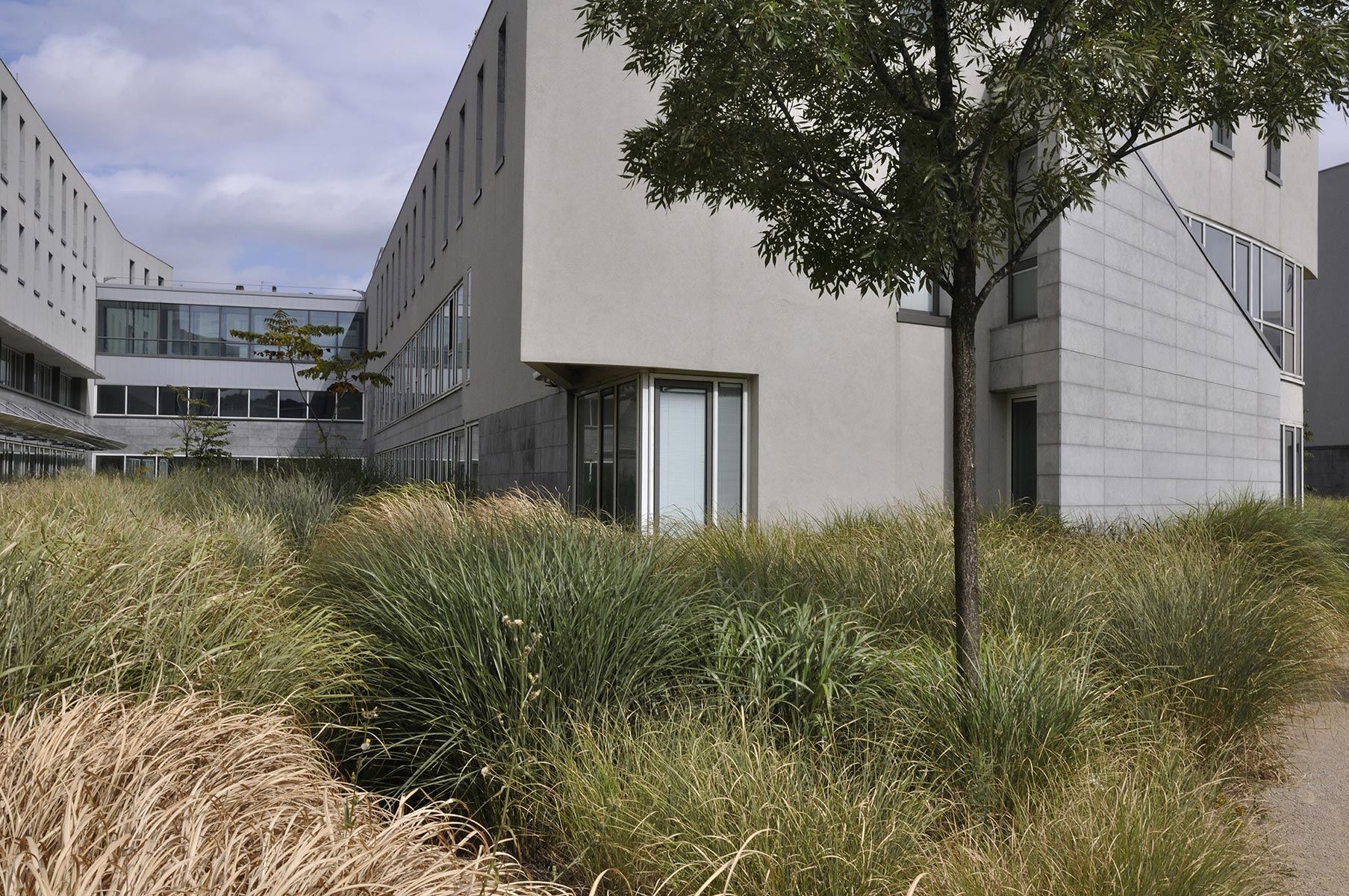 Jardin ENS de Gilles Clément - 2010