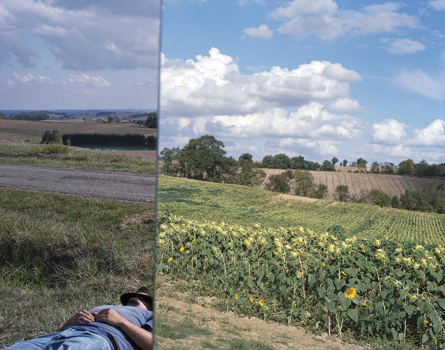 Surfaces-de-contact, miroir couché tournesols - 2009