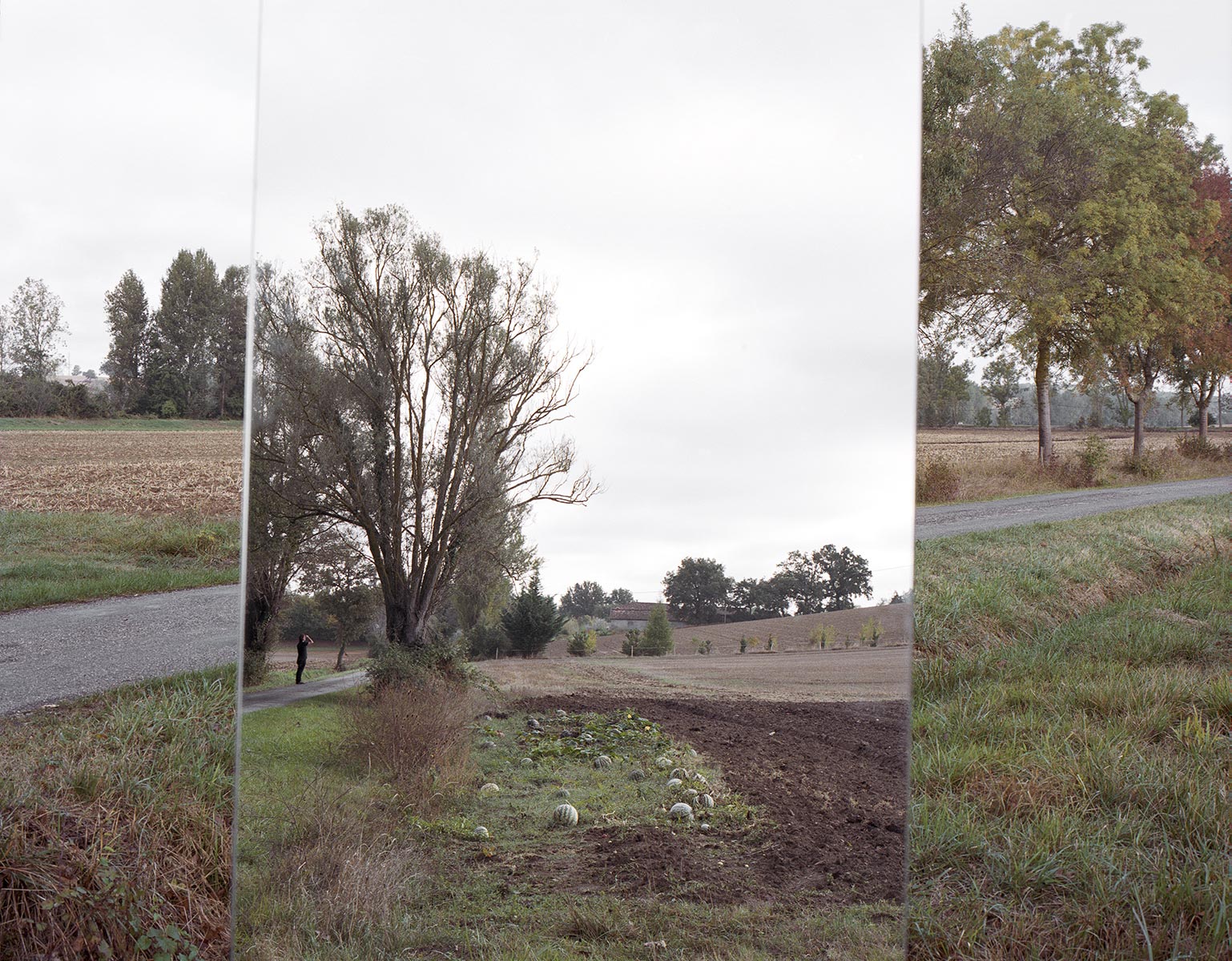 Surfaces-de-contact, potirons - 2009