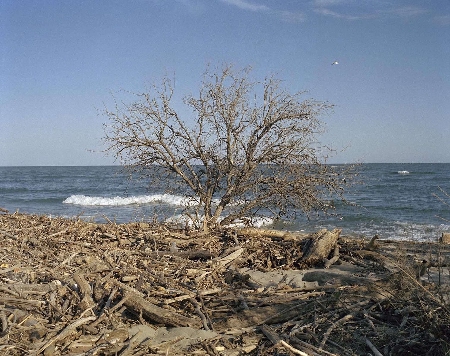 Tel quel, Plage d'Arles - 2004