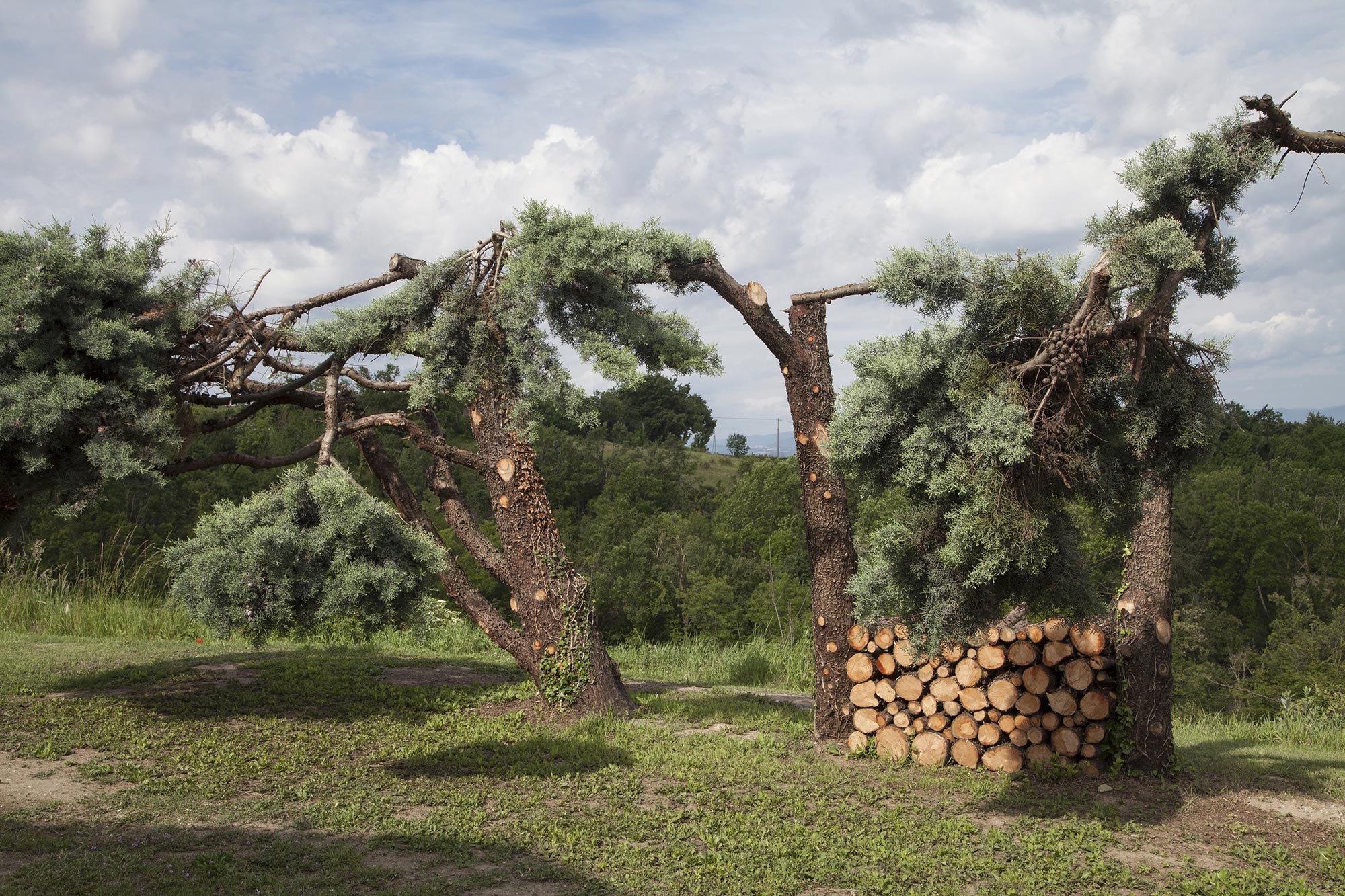 Tel quel, St-Andéol - 2020