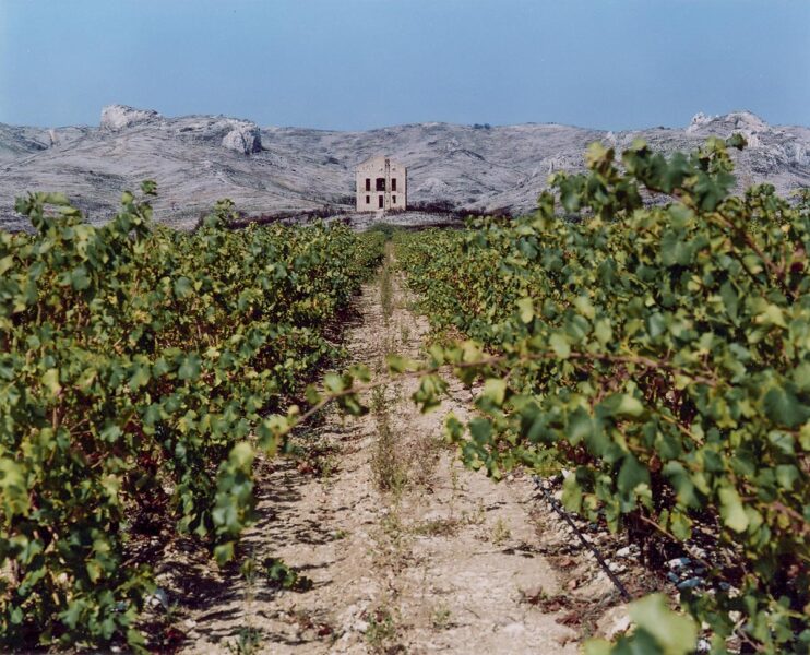 Tel quel - 2000