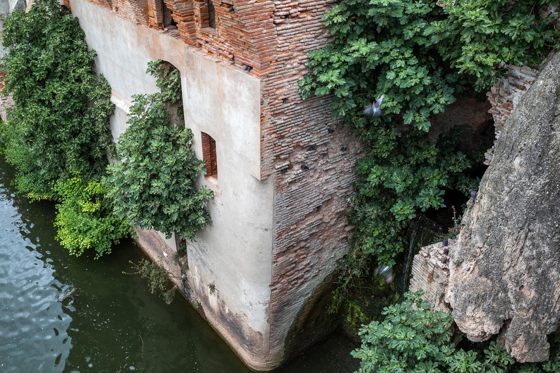 Tel quel, Albi - 2003