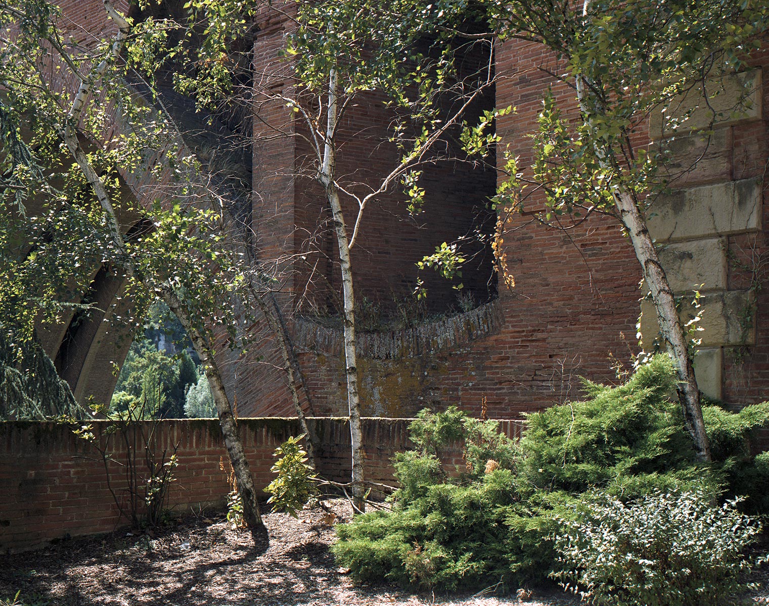 Tel quel, Albi Tarn - 2004