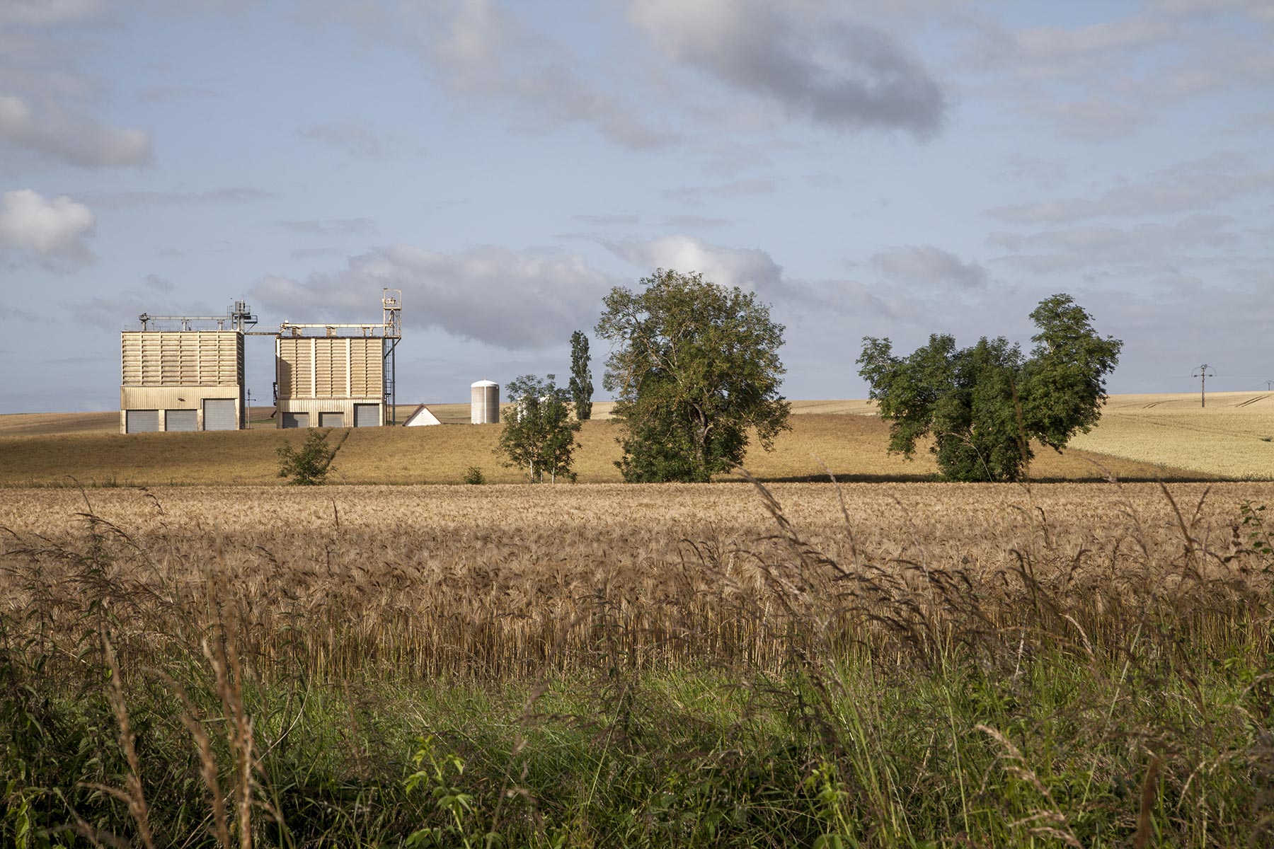 Tel quel, Aux alentours de Vendeuvre-sur-Barse - 2020