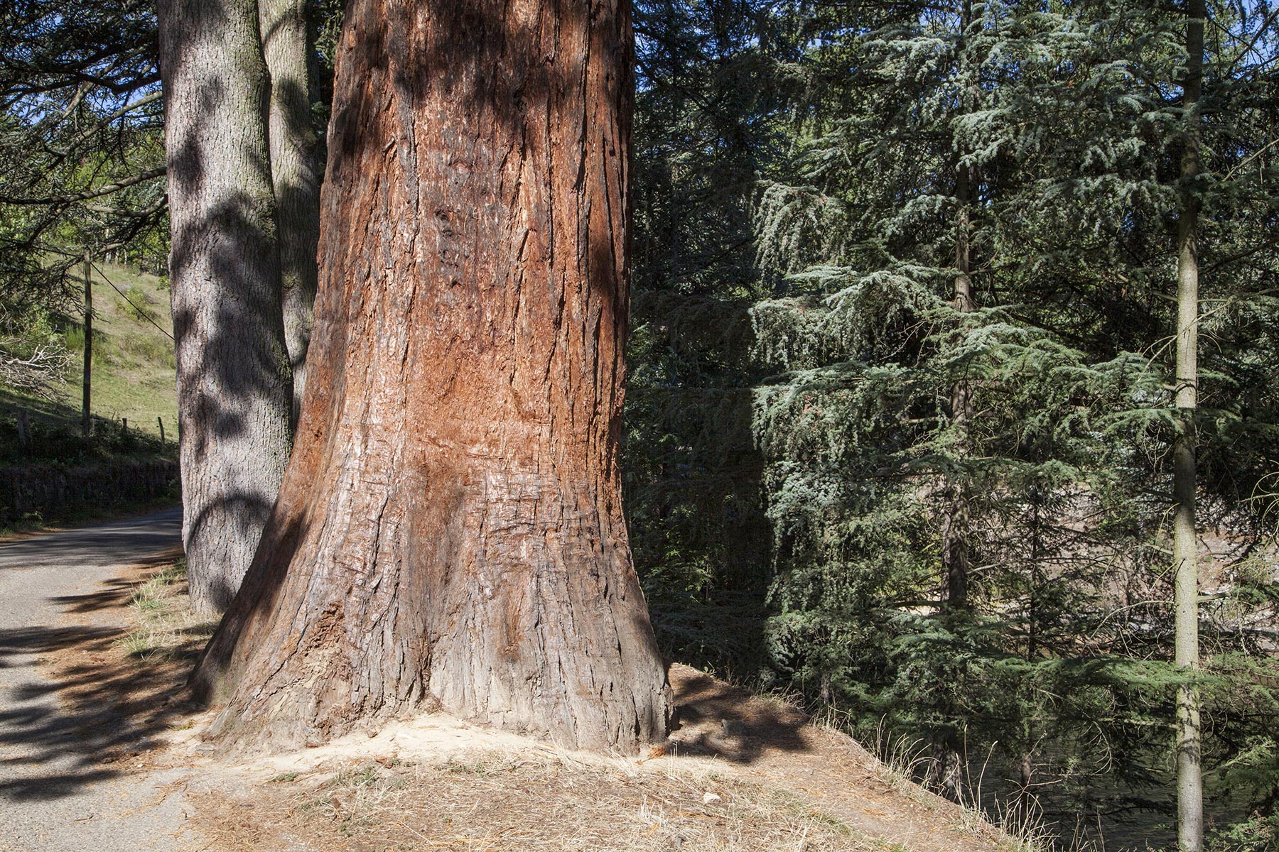 Tel quel, Barrage du Ternay - 2019