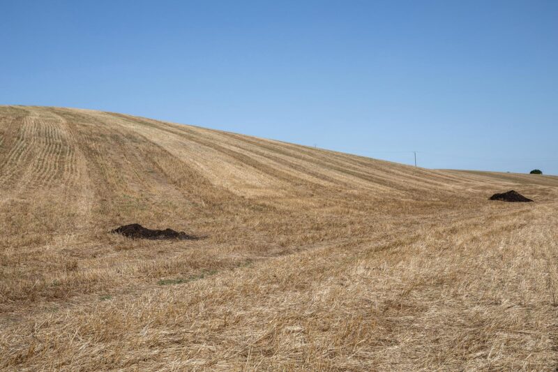 Tel quel, Belflou Lauragais - 2024