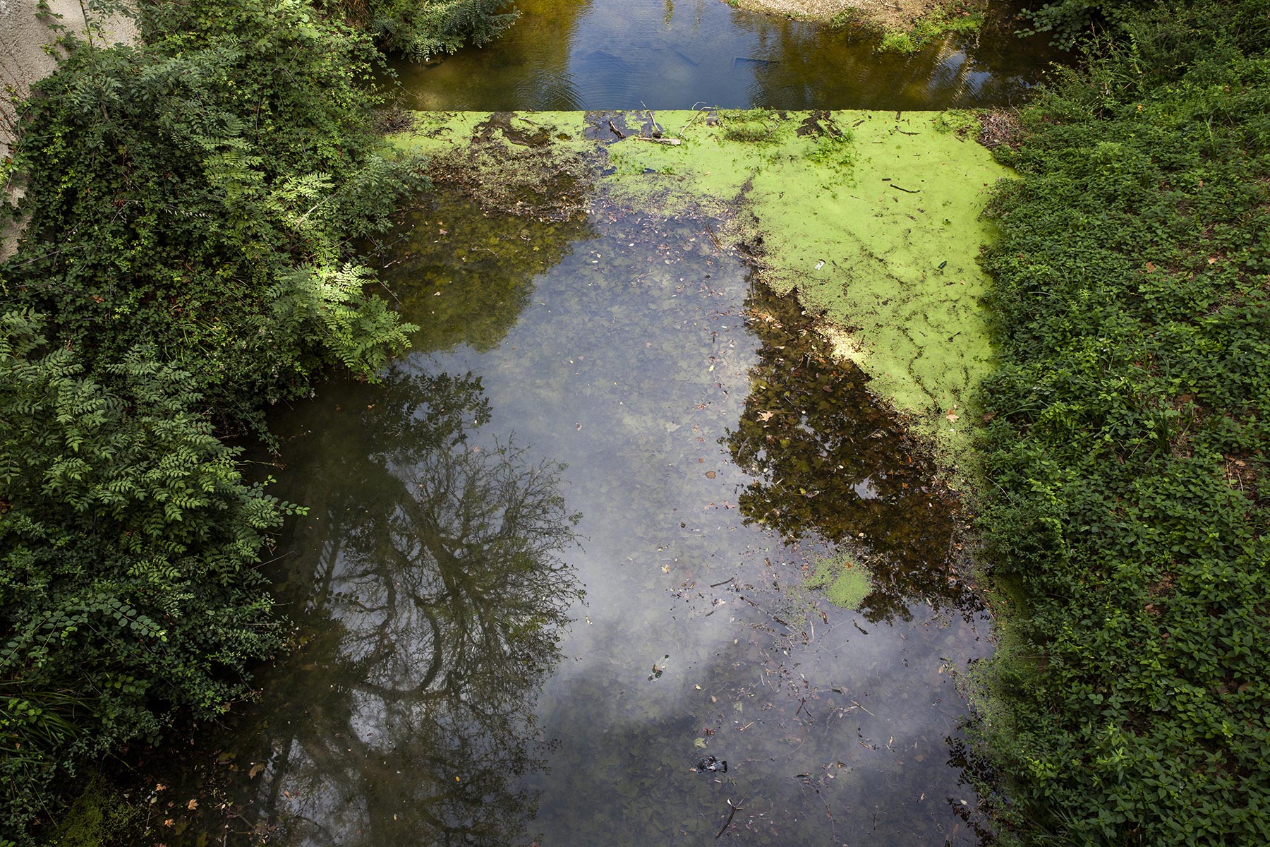 Tel quel, Bord de l'Hers St-Michel-de-Lanes - 2022