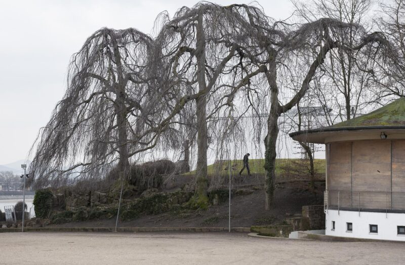 Tel quel, Bord du Rhin à Bonn, Allemagne - 2012
