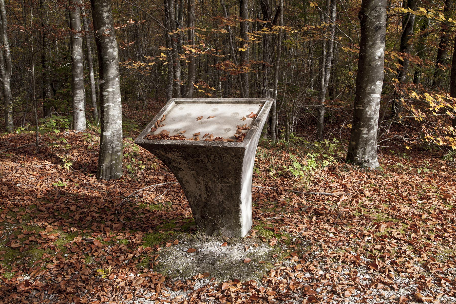 Tel quel, La colline Mort-Homme, Meuse - 2020