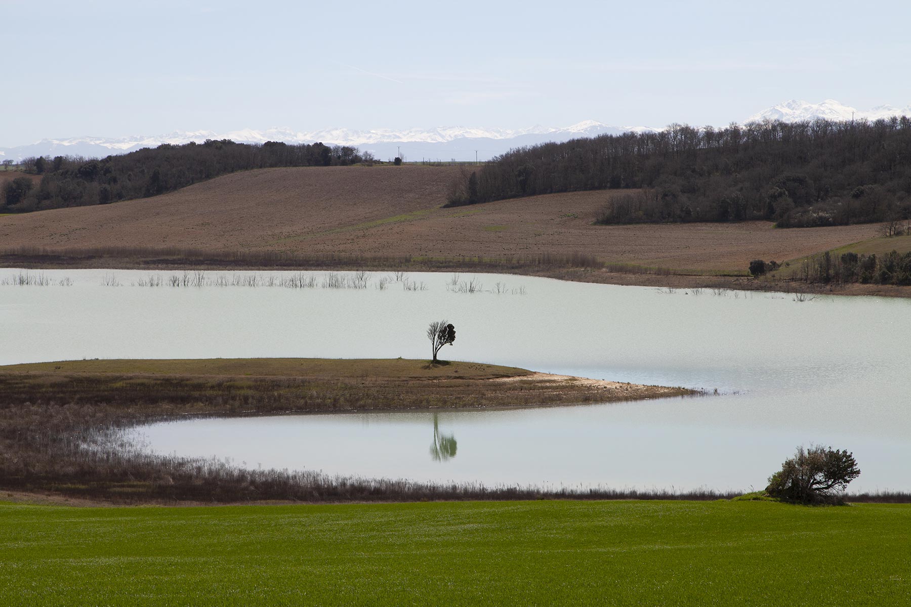 Tel quel, Lac de la Ganguise, Aude - 2018