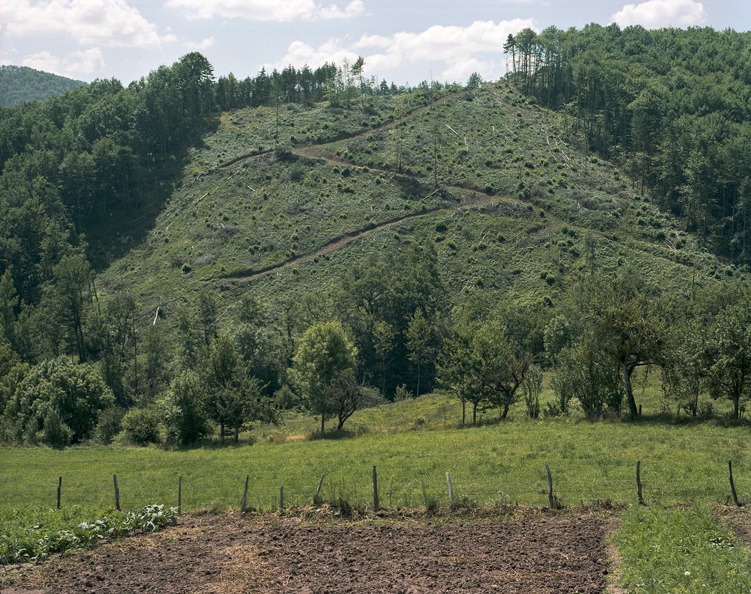 Tel quel, Le Canet d'Olt, Aveyron - 2003
