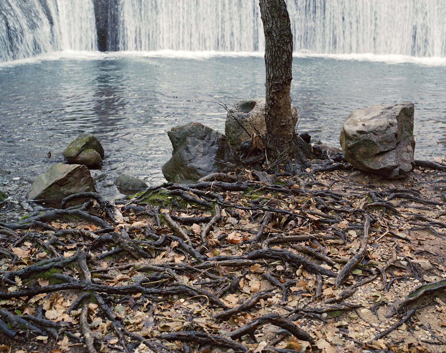 Le Gapeau à la Castille, La Crau, Var - 2003