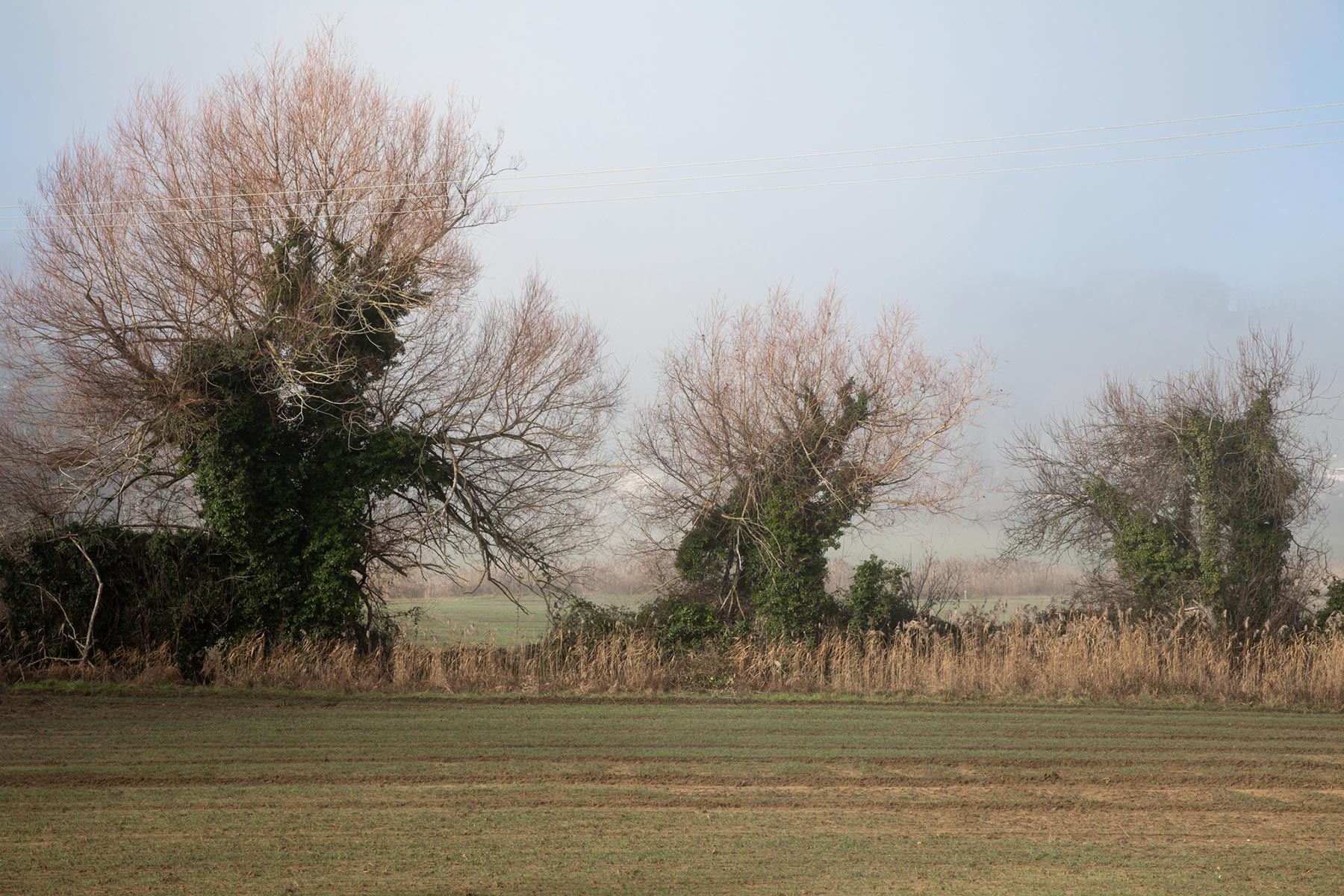 Tel quel, Peyrins - 2024