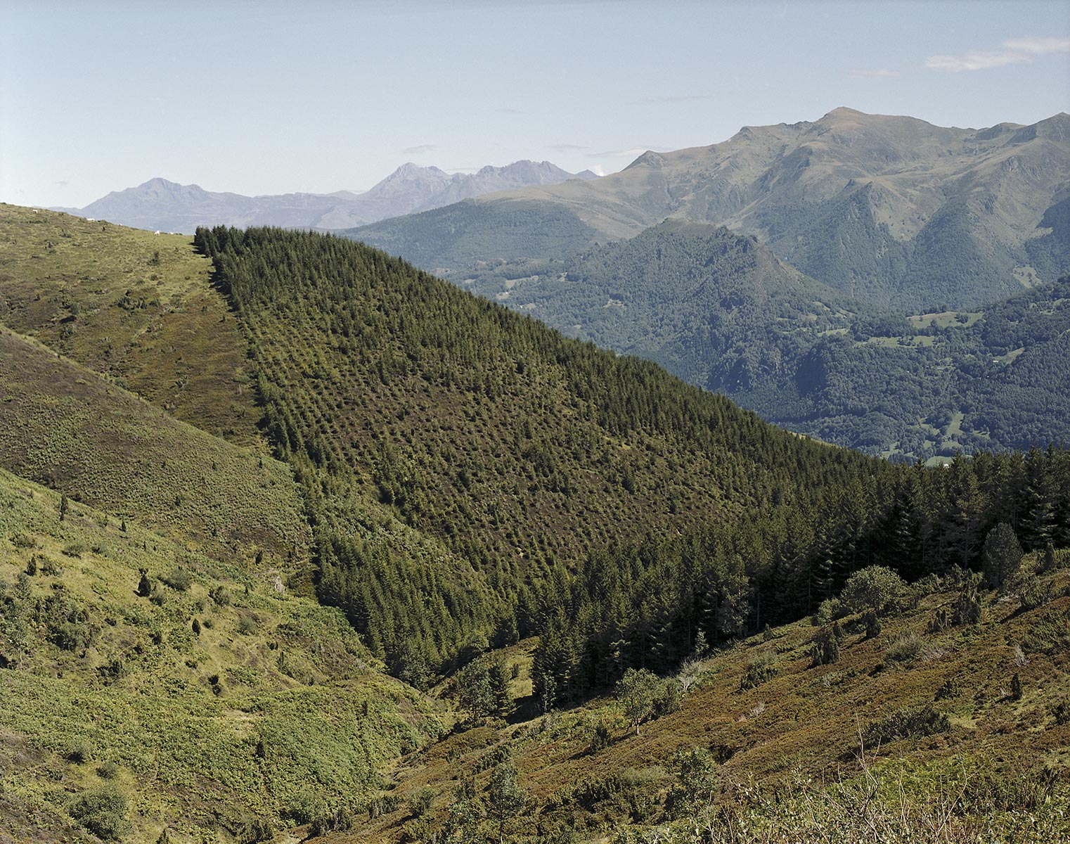 Tel quel, Près de Lourde, Hautes-Pyrénées - 2006