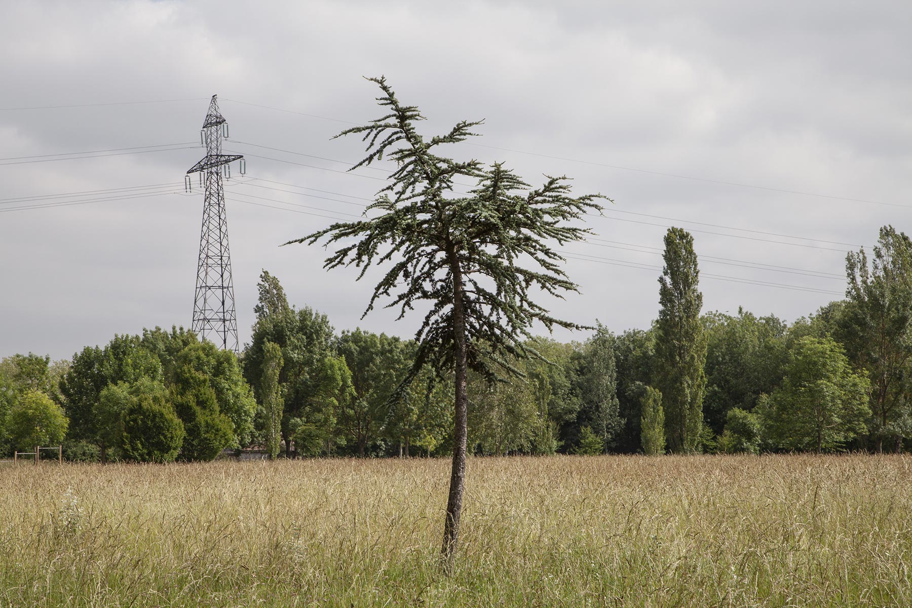 Tel quel, Ramonville Saint-Agne - 2016